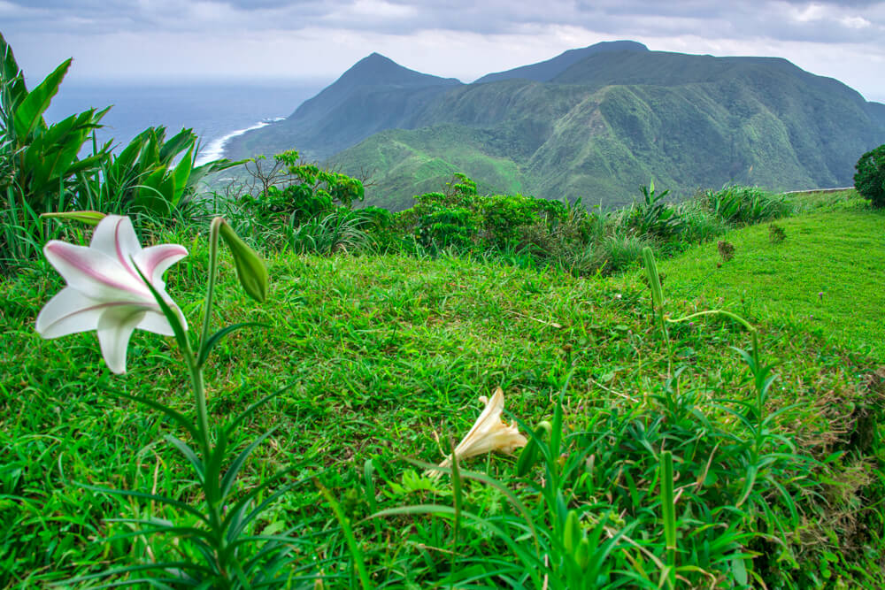 Lanyu orchideový ostrov